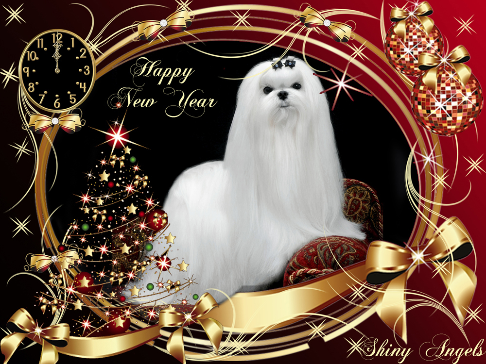 Happy new year!