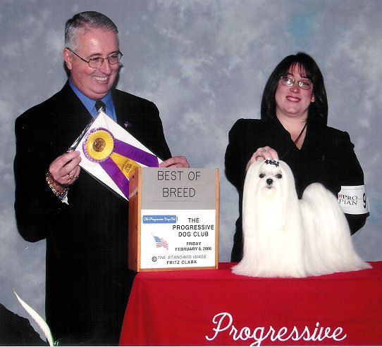 Progressive